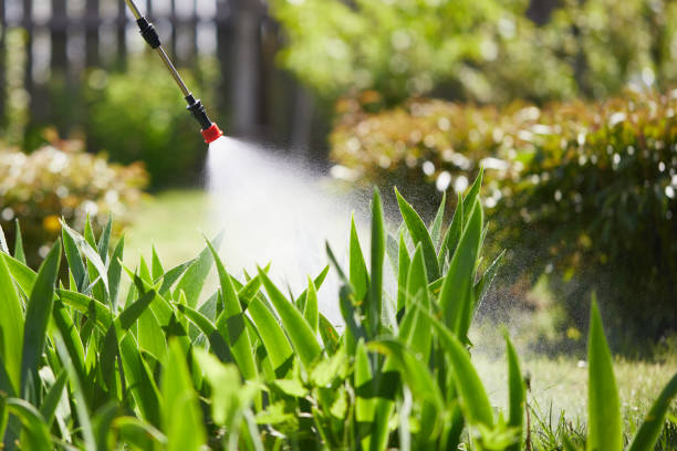24/7 Emergency Fumigation Services experts in Talty, TX