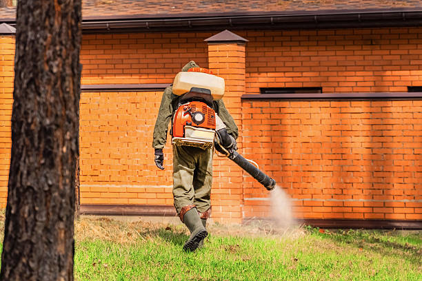 Top rated local Fumigation Services specialists in Talty, TX
